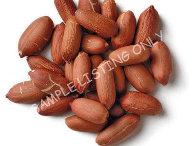 Raw Cote d'Ivoire Groundnuts